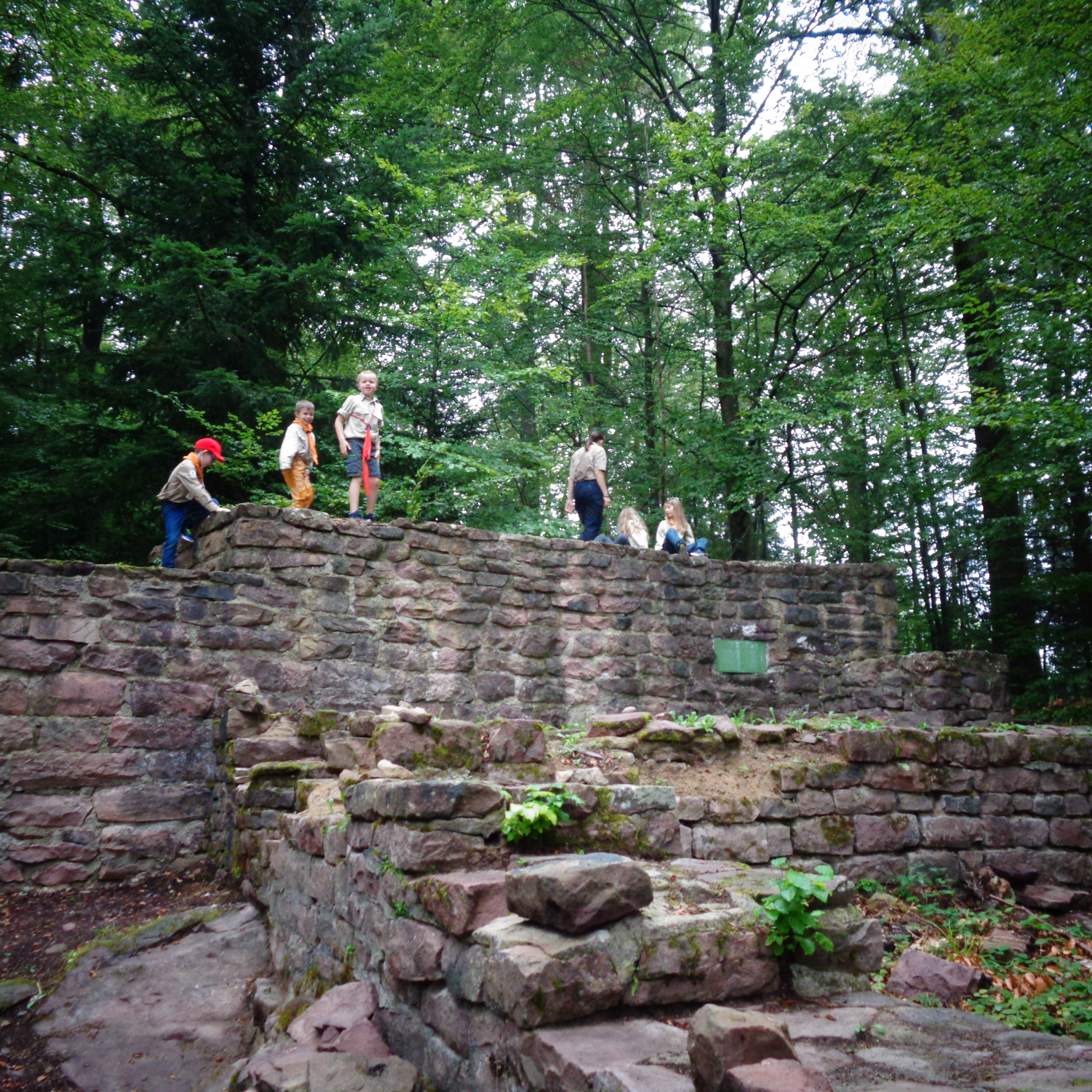 Auf der Mauer der Waldenburg klettern die Biber vergnügt herum